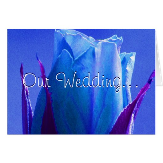 ブルーバラデライト (正面横)