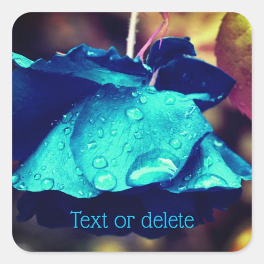 ブルーバラ抽象芸術パーソナライズされた花 スクエアシール (正面)