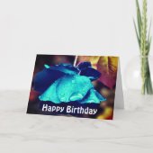 ブルーバラ花撮影誕生日カード カード (正面)