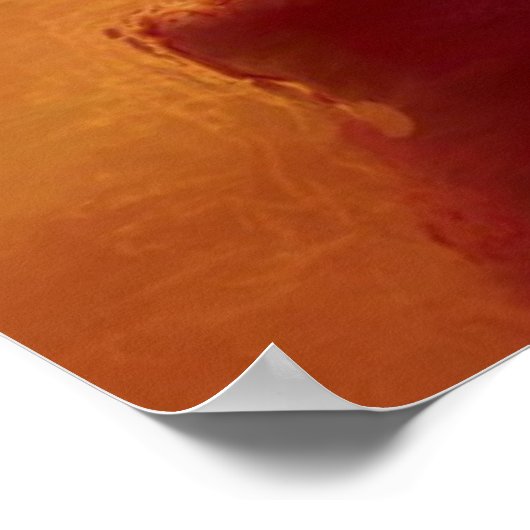 ブルーバラ ポスター (角)