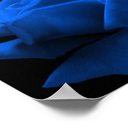 ブルーバラ ポスター (角)