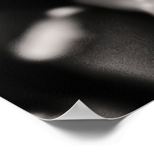 ブルーバラ ポスター (角)