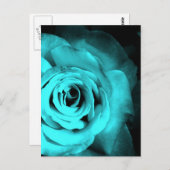 ブルーバラ ポストカード (正面/裏面)