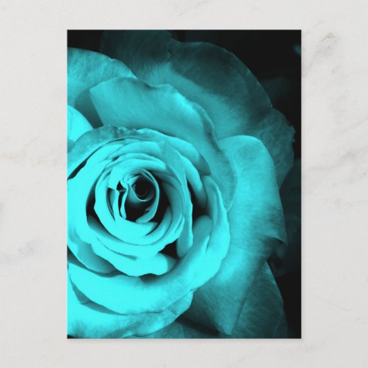 ブルーバラ ポストカード (正面)