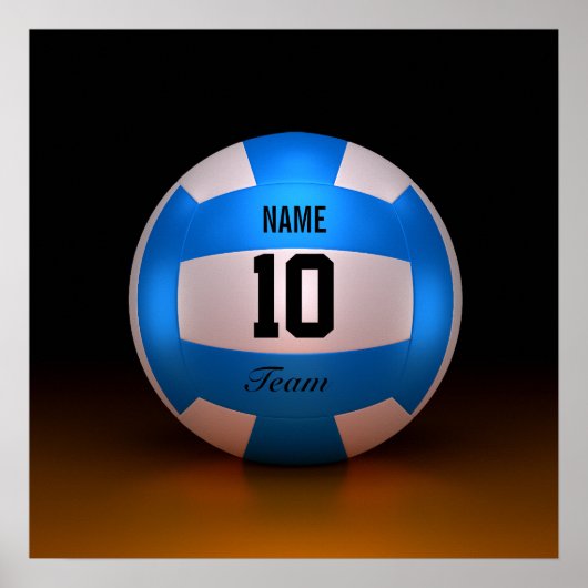 ブルーバレーボール ポスター (正面)