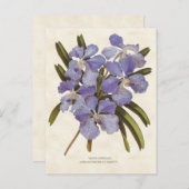 ブルーバンダオーキッドヴィンテージ植物学 ポストカード (正面/裏面)