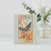 ブルーバント ポストカード (スタンド正面)