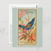 ブルーバント ポストカード (正面/裏面)