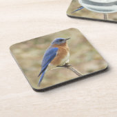 ブルーバードのコースター コースター (左側)