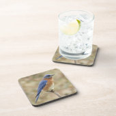 ブルーバードのコースター コースター (右側)