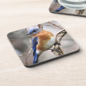 ブルーバードのコースター コースター (左側)