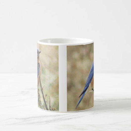 ブルーバードのコーヒー・マグ コーヒーマグカップ (中央)