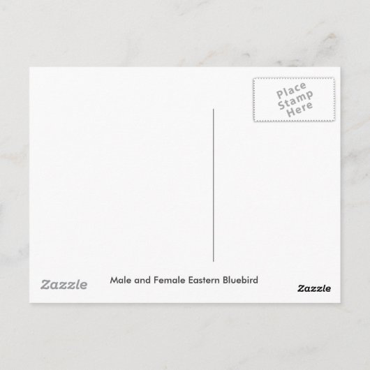 ブルーバードのペアのポストカード ポストカード (裏面)