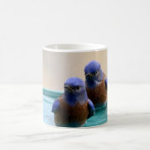 ブルーバードのマグ コーヒーマグカップ (中央)