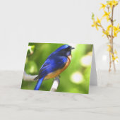 ブルーバードの幸福カード カード (黄色い花)