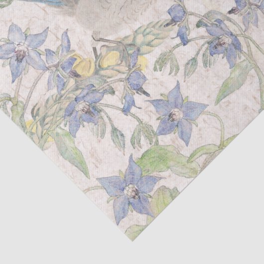 ブルーバードの鳥のスイセンによってはティッシュペーパーが開花します 薄葉紙 (詳細)