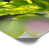 ブルーバードアイスピードウェル・ワイルドフラワーポスター ポスター (角)