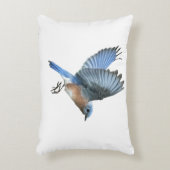 ブルーバードアエレガントントピロー アクセントクッション (正面(垂直))