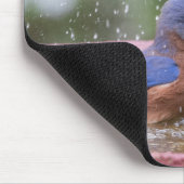 ブルーバードアットバーズバス マウスパッド (コーナー)