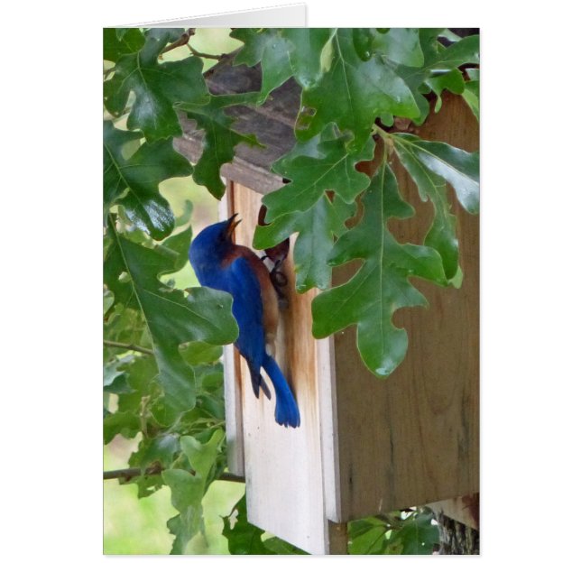 ブルーバードアットホーム (正面)