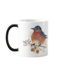 ブルーバードウォーター色鉛筆画