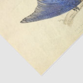 ブルーバードエフエメラデクページ 薄葉紙 (詳細)