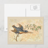 ブルーバードオンブランチ ポストカード (正面/裏面)