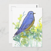 ブルーバードデザートサギーブラシ水色 ポストカード (正面/裏面)