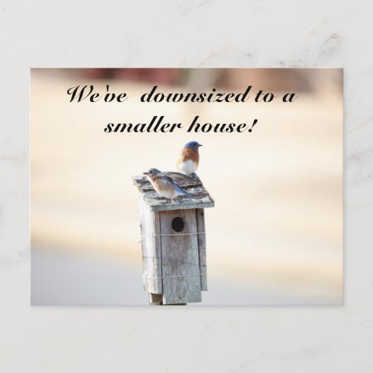 ブルーバードハウス – おもしろい住所変更はがき ポストカード (正面)
