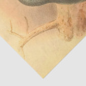 ブルーバードビューティフルヴィンテージデコファージ 薄葉紙 (詳細)