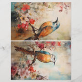 ブルーバードミックス (正面)