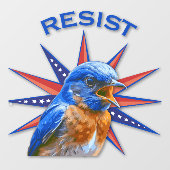 ブルーバードレジスタントウィンドウ ウィンドウサイン (シート)