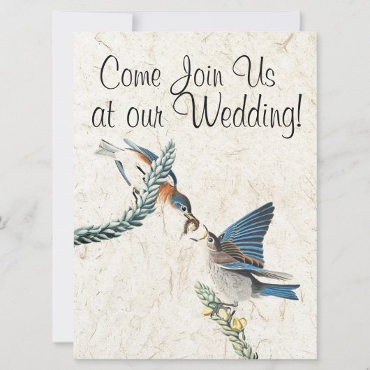 ブルーバードワイルドライフアニマル結婚式招待状 招待状 (正面)