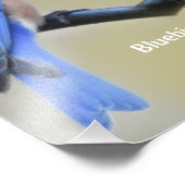 ブルーバード俳句のポスター フォトプリント            (角)