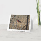 ブルーバード及び(鳥)ショウジョウコウカンチョウの生命は歌歌いますそれをです! カード (裏面)