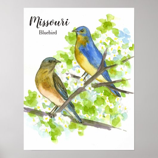 ブルーバード州ミズーリの鳥 ポスター (正面)