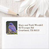 ブルーバード差出人住所ラベル ラベル (インサイチュ)