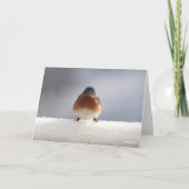 ブルーバード折り畳みグリーティングカード カード (正面)