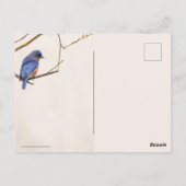 ブルーバード春 ポストカード (裏面)