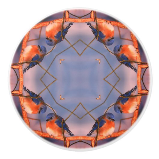 ブルーバード自然抽象芸術アート セラミックノブ (正面)