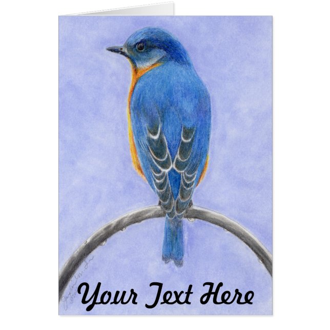 ブルーバード (正面)