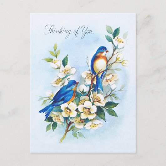 ブルーバード2つ ポストカード (正面)