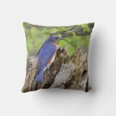 ブルーバード クッション (裏面)