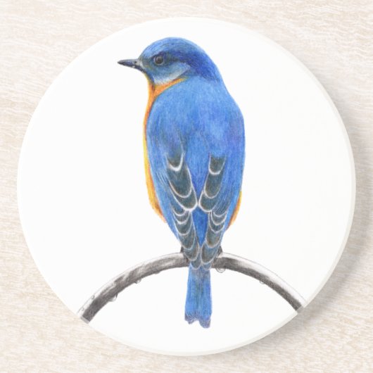 ブルーバード コースター (正面)