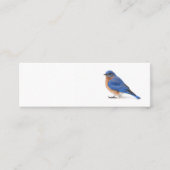 ブルーバード スキニー名刺 (正面)