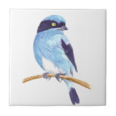 ブルーバード タイル (正面)