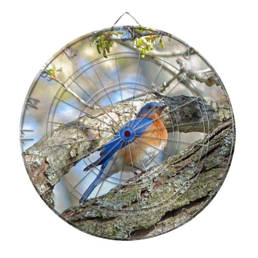 ブルーバード ダーツボード (正面)