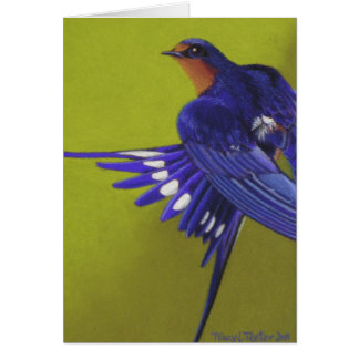 ブルーバード、ツバメ