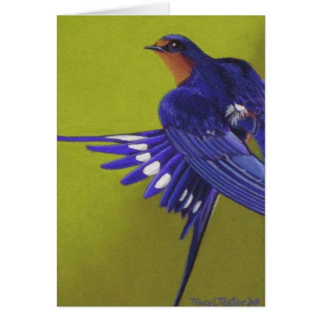 ブルーバード、ツバメ (正面)