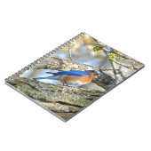 ブルーバード ノートブック (左側)